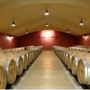 🍷Œnotourisme à Bordeaux organisé par Domaine Château Lacour