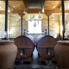 🍷Enoturismo em Bordéus organizado pelo Domaine Château Lacour